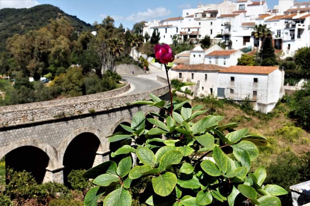 Casa Rural Sierras De 가우신 외부 사진