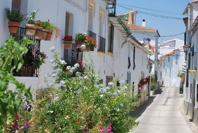 Casa Rural Sierras De Gaucin 아파트 외부 사진